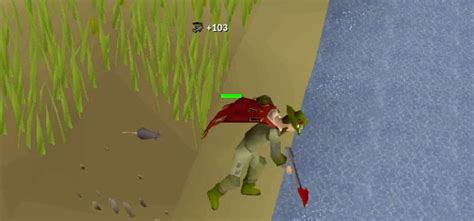 fly fishing osrs|OSRS: The 5 Best Fly Fishing Spots